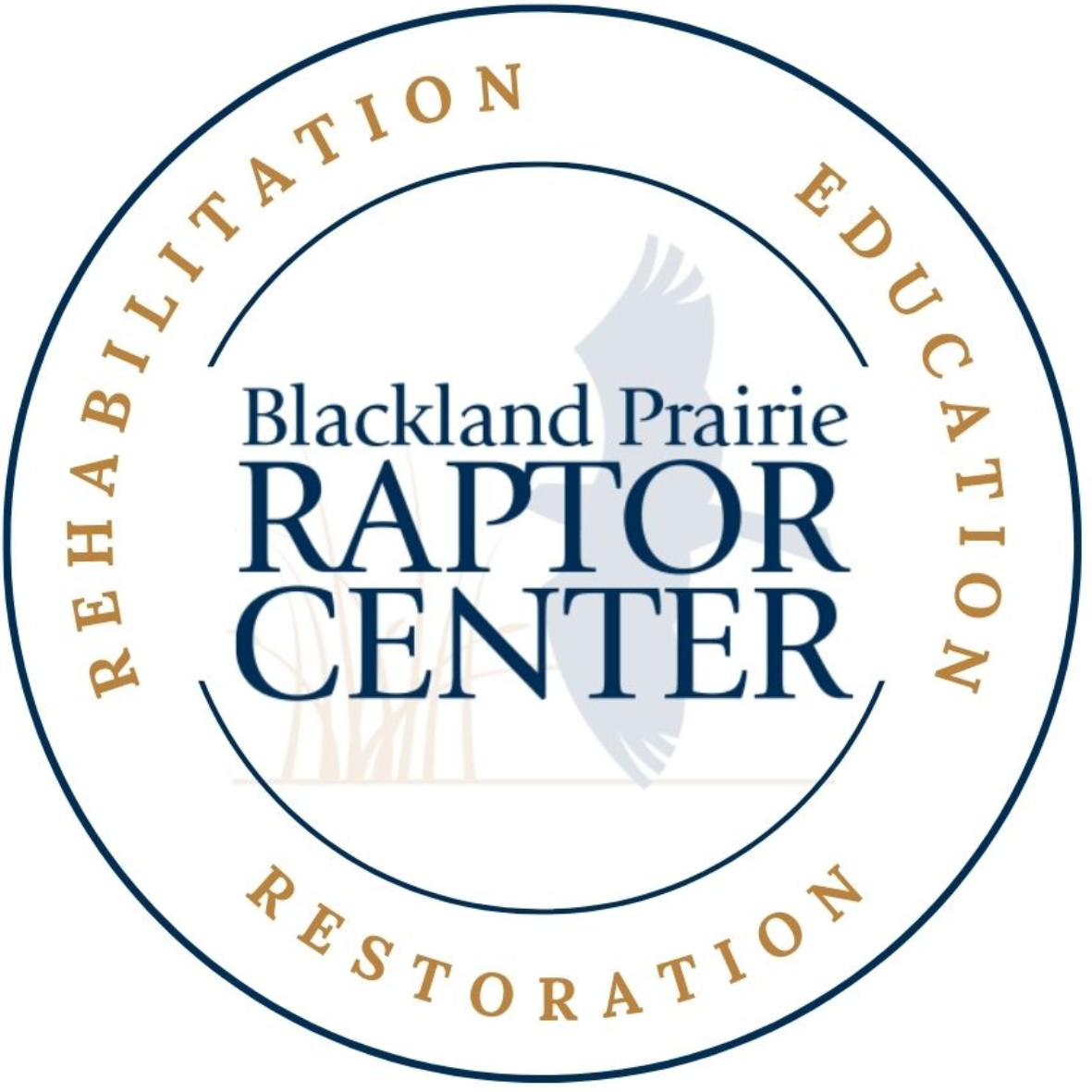 North Texas Giving Day - Raptors of North Texas - logo